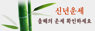 ڻǮ̹