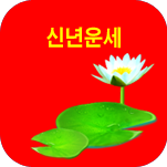 ڻǮ̹